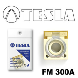 FM300A Tesla