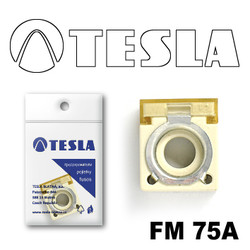 FM75A Tesla